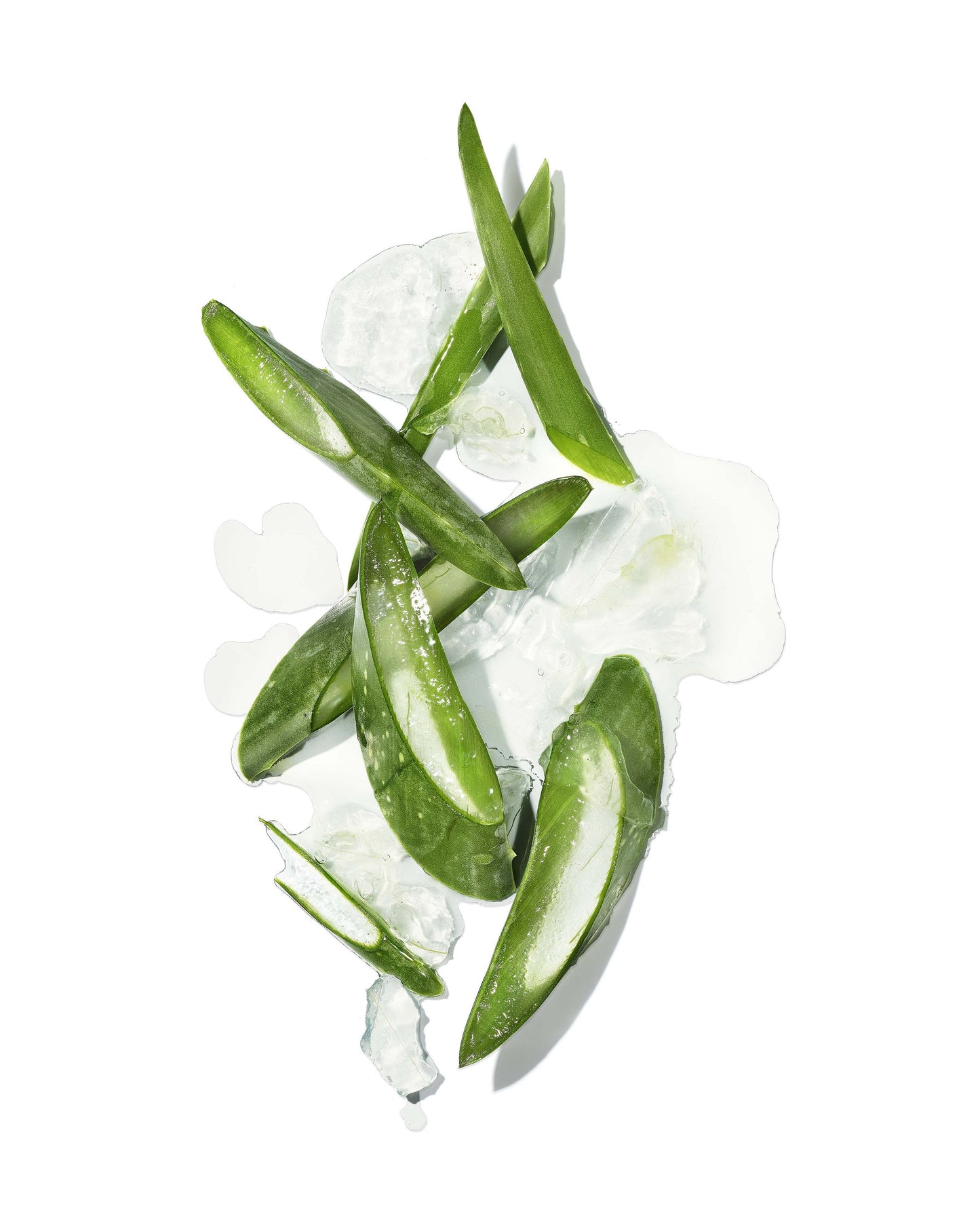 Sliced aloe vera plant on a white background