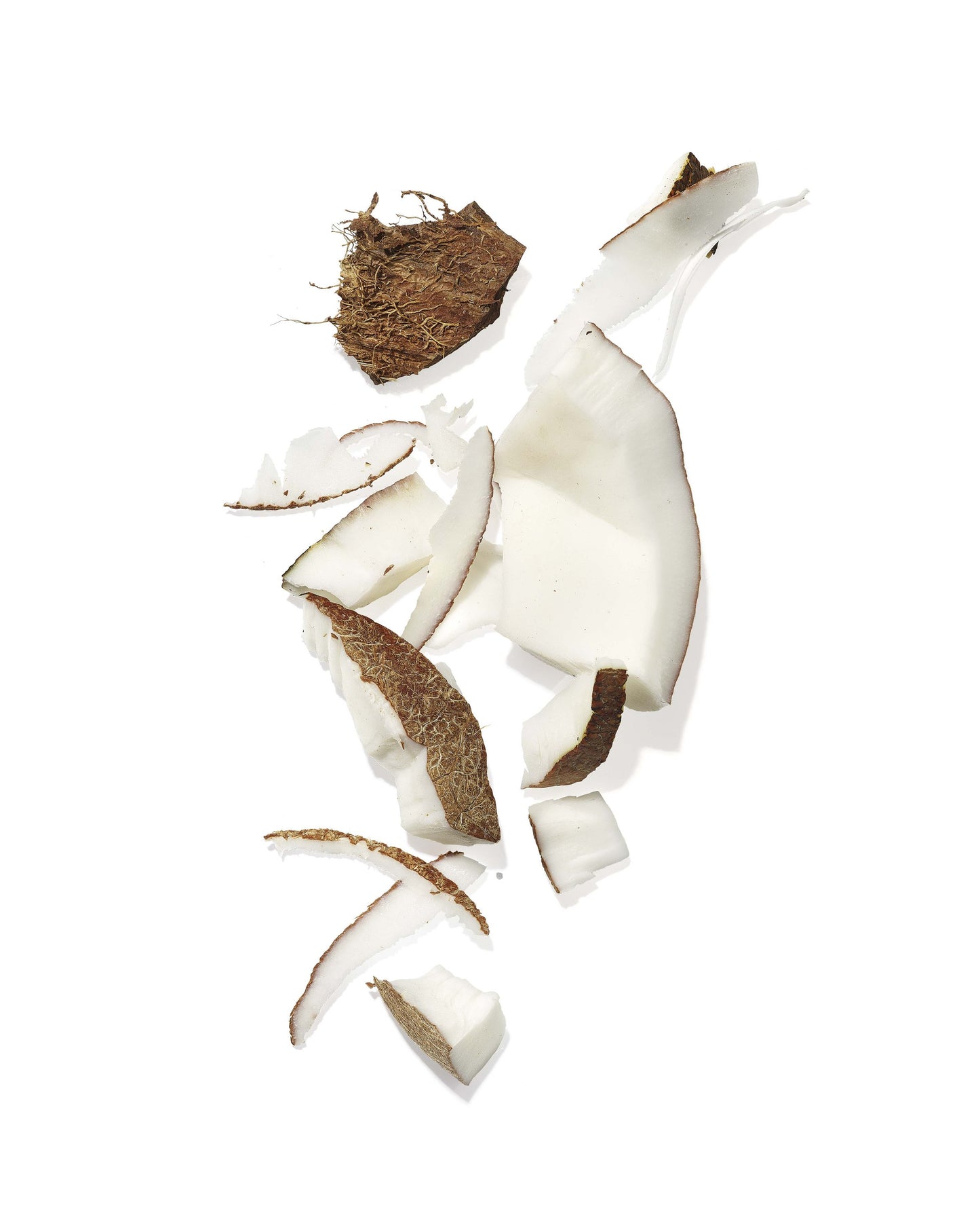 Coconut pieces on a white background